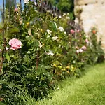 Maison Du Passeur: 18th Century Charm With Garden And Villa Pressagny l'Orgueilleux