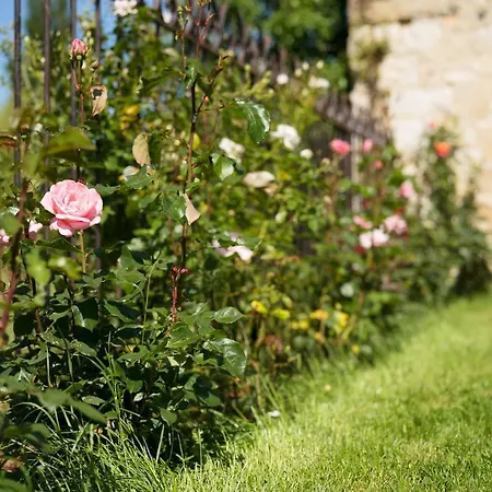 Maison Du Passeur: 18th Century Charm With Garden And Villa Pressagny l'Orgueilleux
